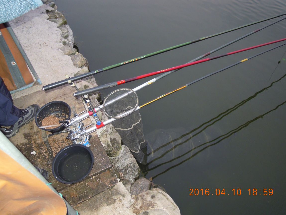 DSCN0427.JPG