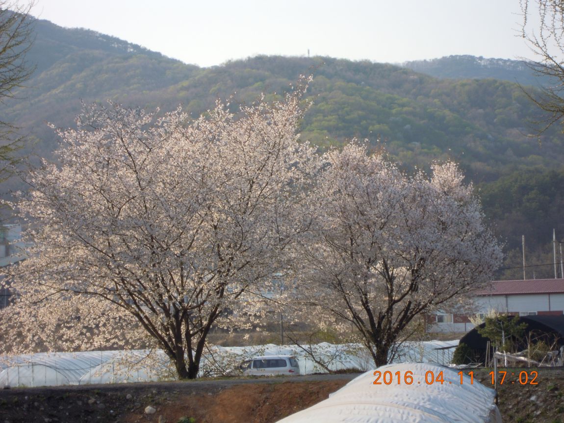 DSCN0436.JPG