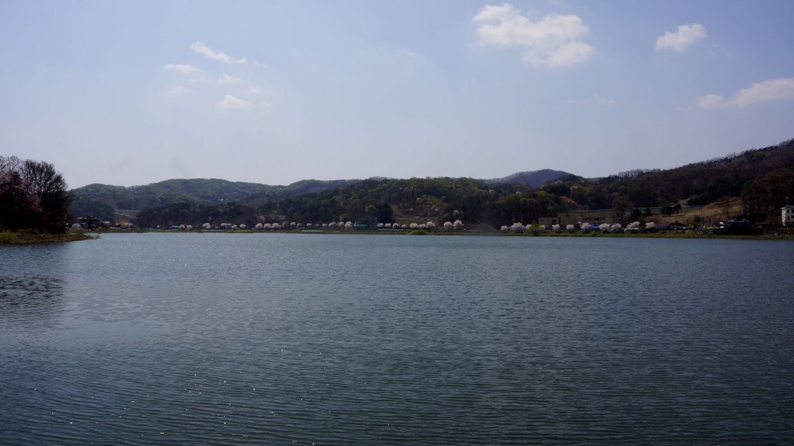 DSC02502-d.jpg