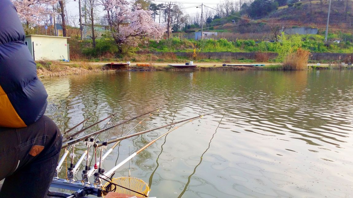 20160411_071803.jpg