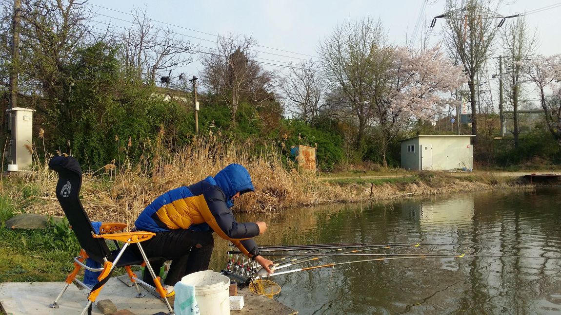 20160411_072356.jpg