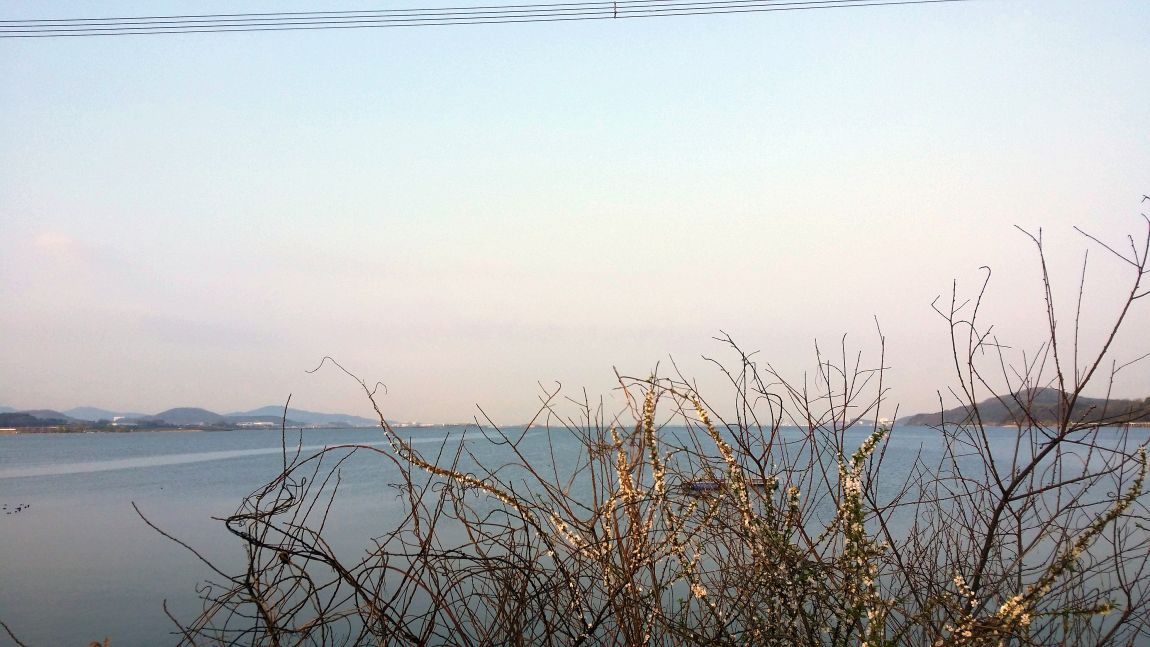 20160411_072816.jpg