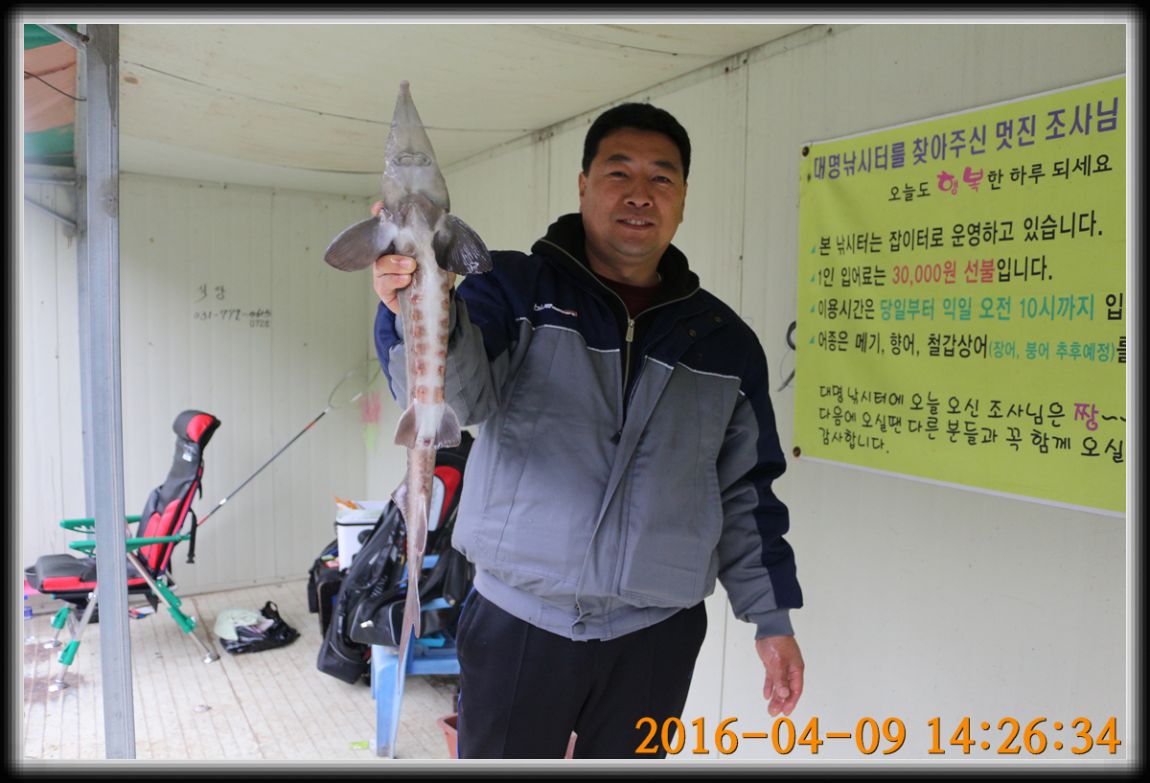 IMG_0019.jpg