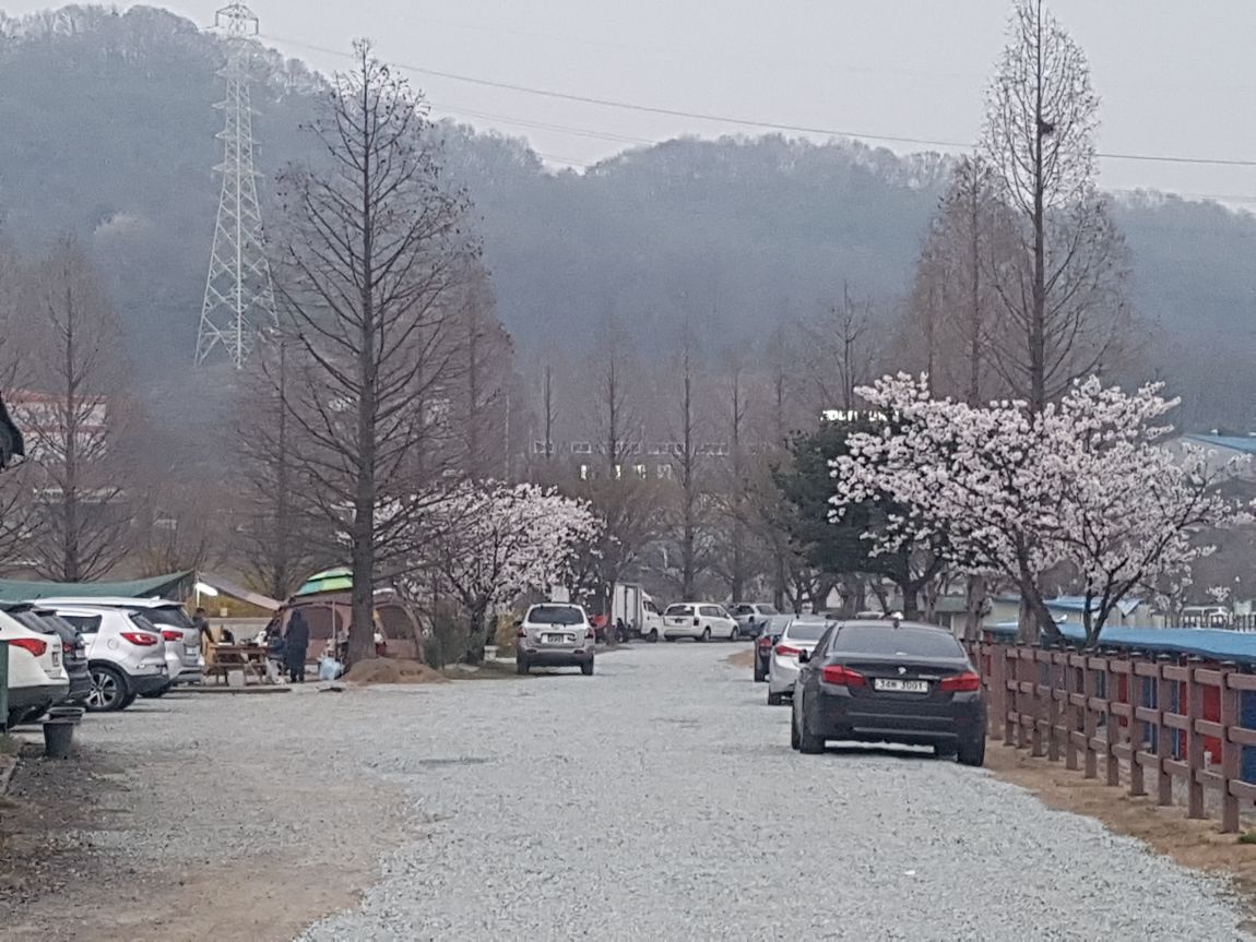 20160409_185929.jpg