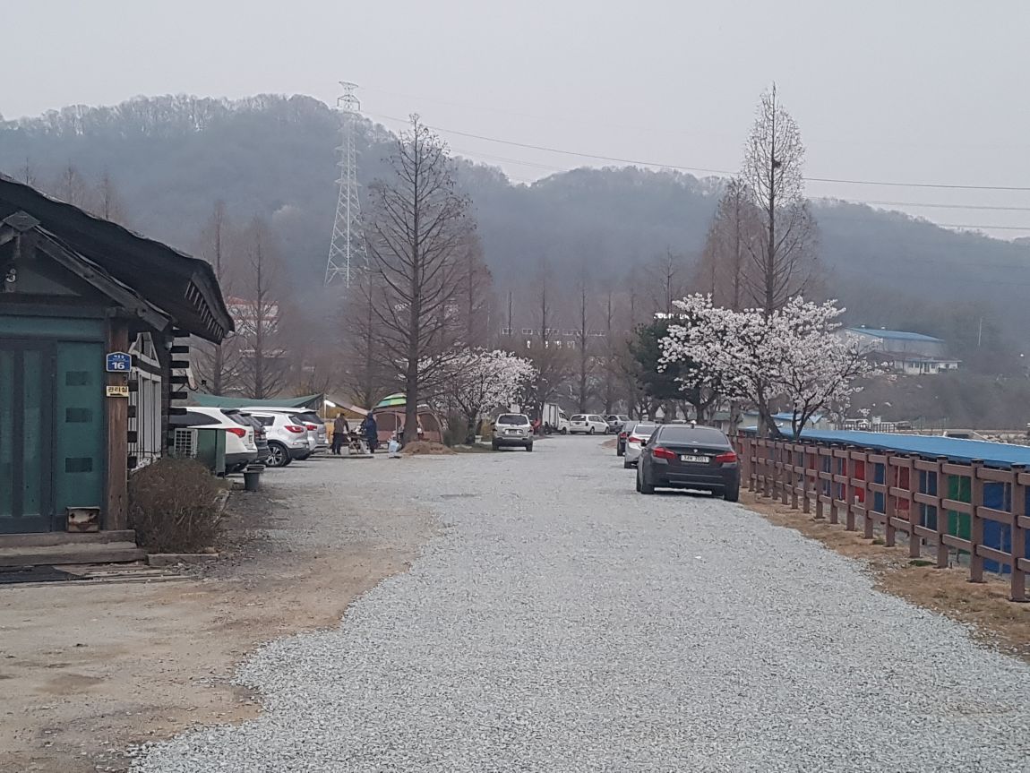 20160409_185937.jpg