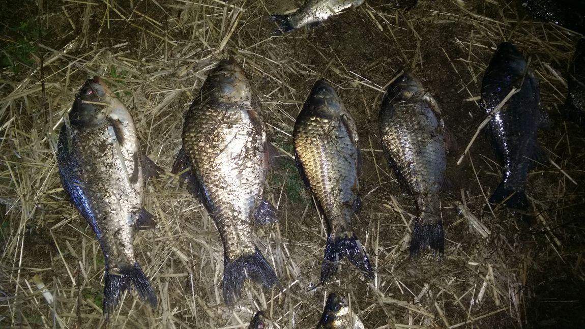 20160412_233744.jpg
