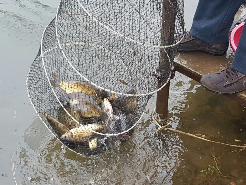 KakaoTalk_20160413_100134450.jpg