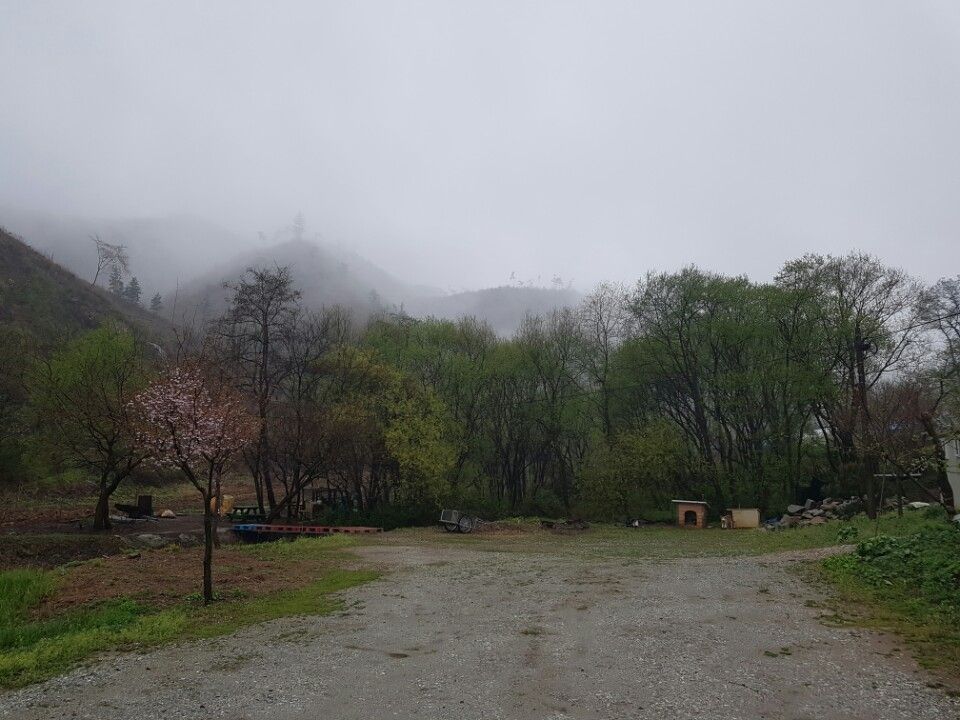 KakaoTalk_20160413_100135341.jpg