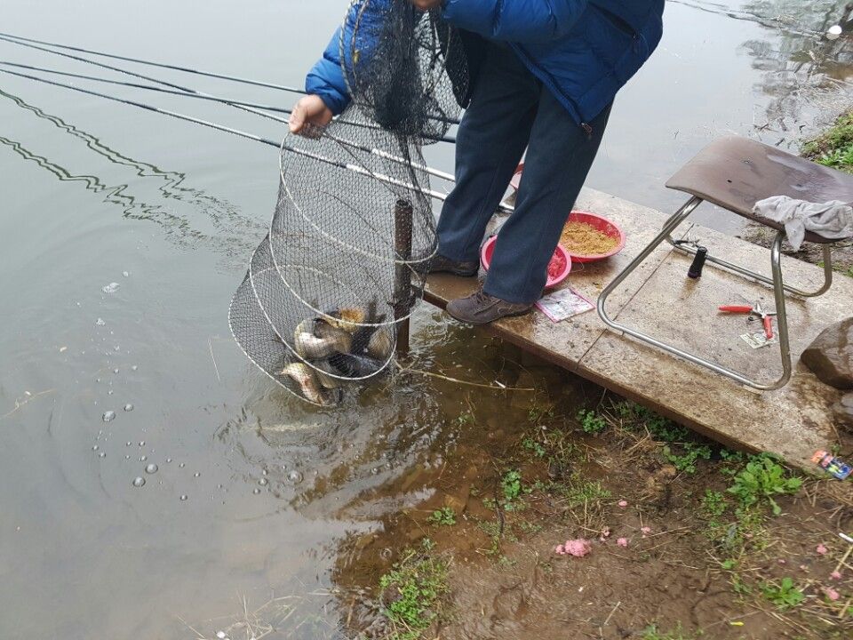 KakaoTalk_20160413_100135037.jpg