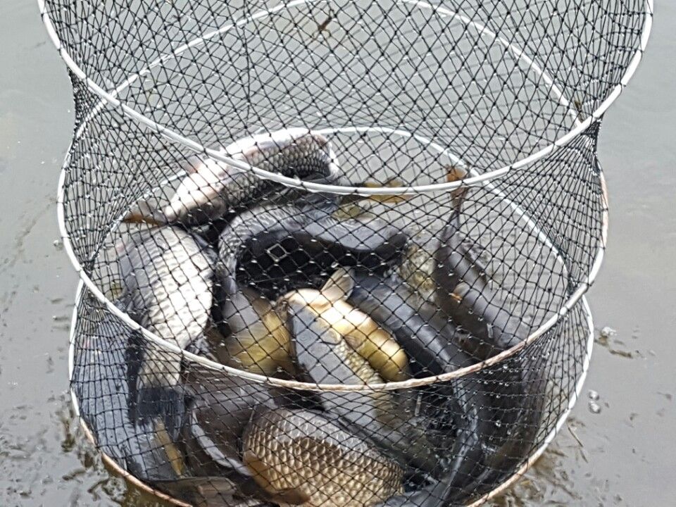 KakaoTalk_20160413_100135615.jpg