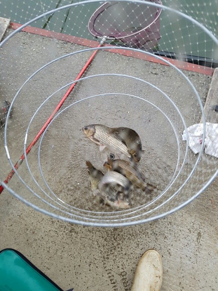 KakaoTalk_20160413_100136253.jpg