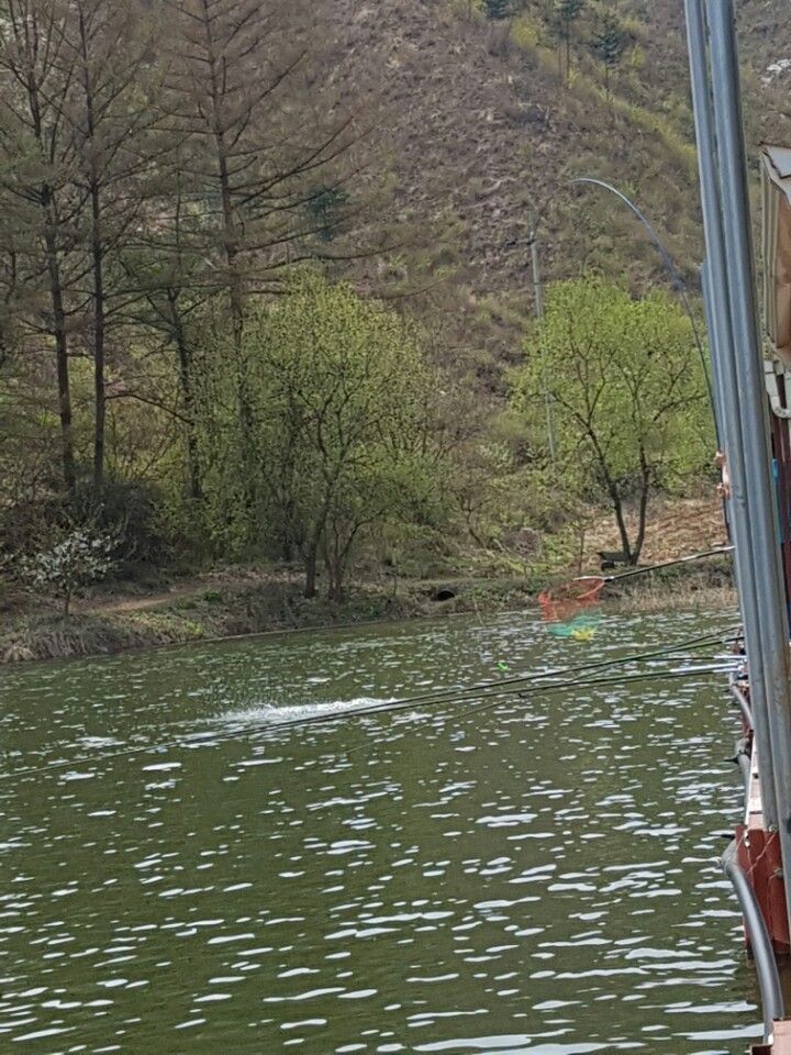 KakaoTalk_20160413_100140834.jpg