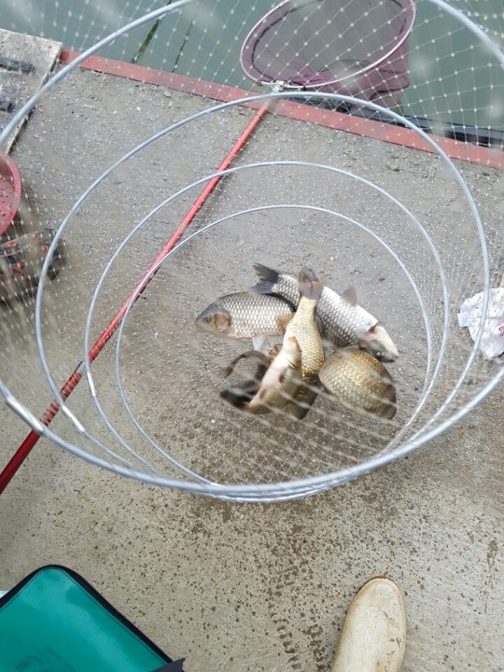 KakaoTalk_20160413_100136616.jpg