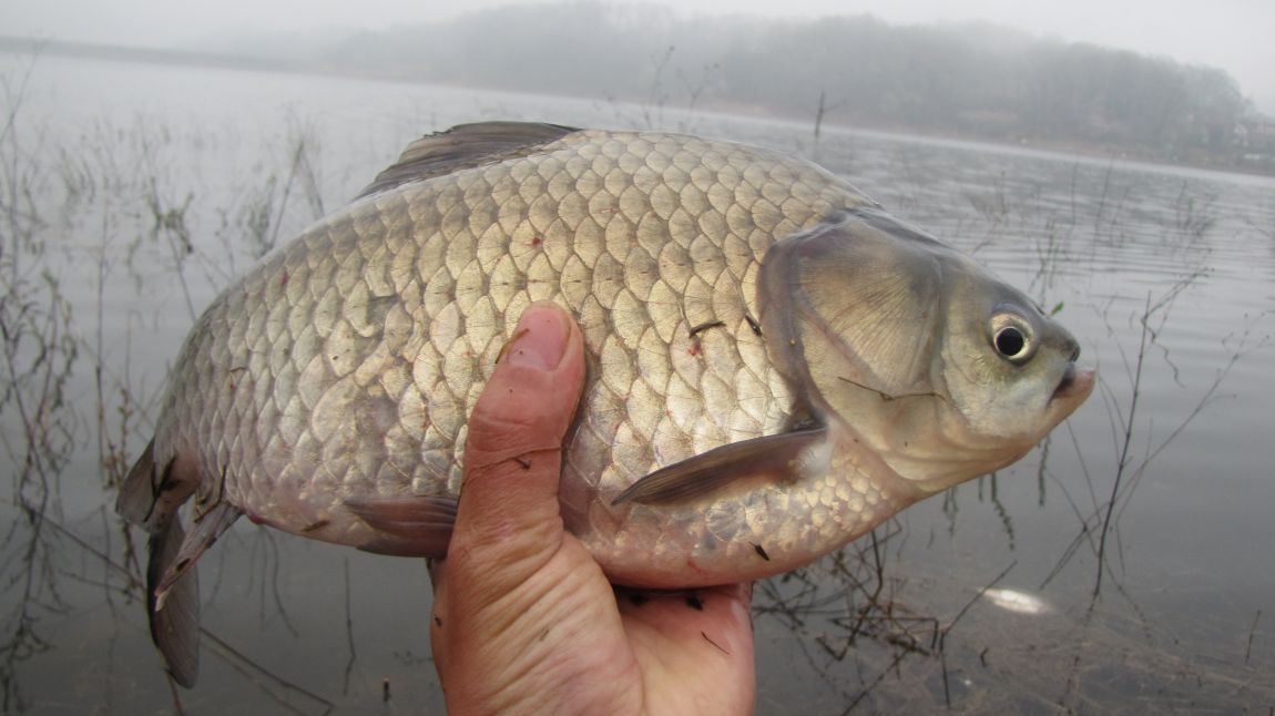 IMG_2313.JPG