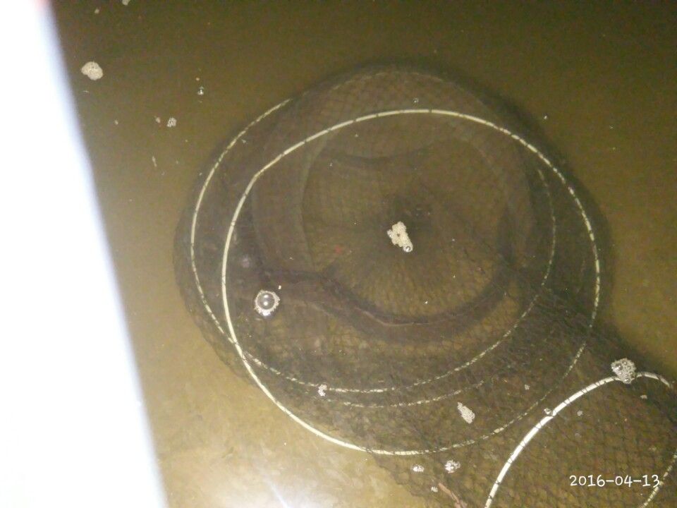 1460531711558.jpg