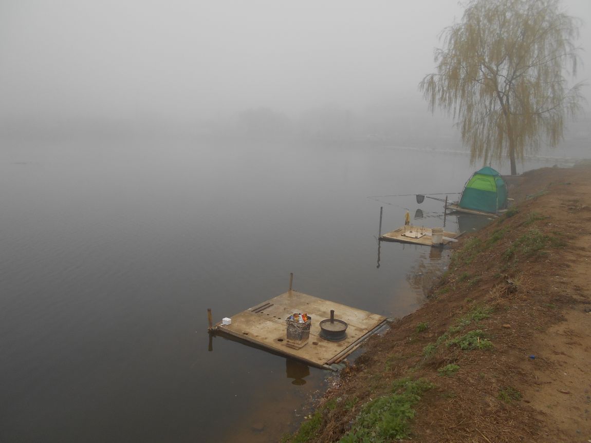 DSCN0138.JPG