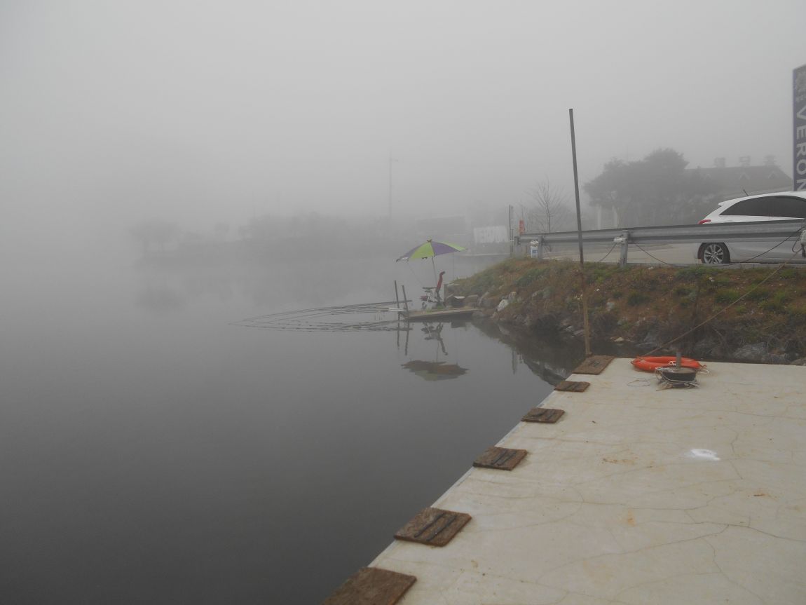 DSCN0142.JPG