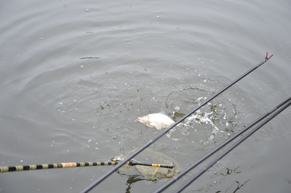 DSC_3045.JPG
