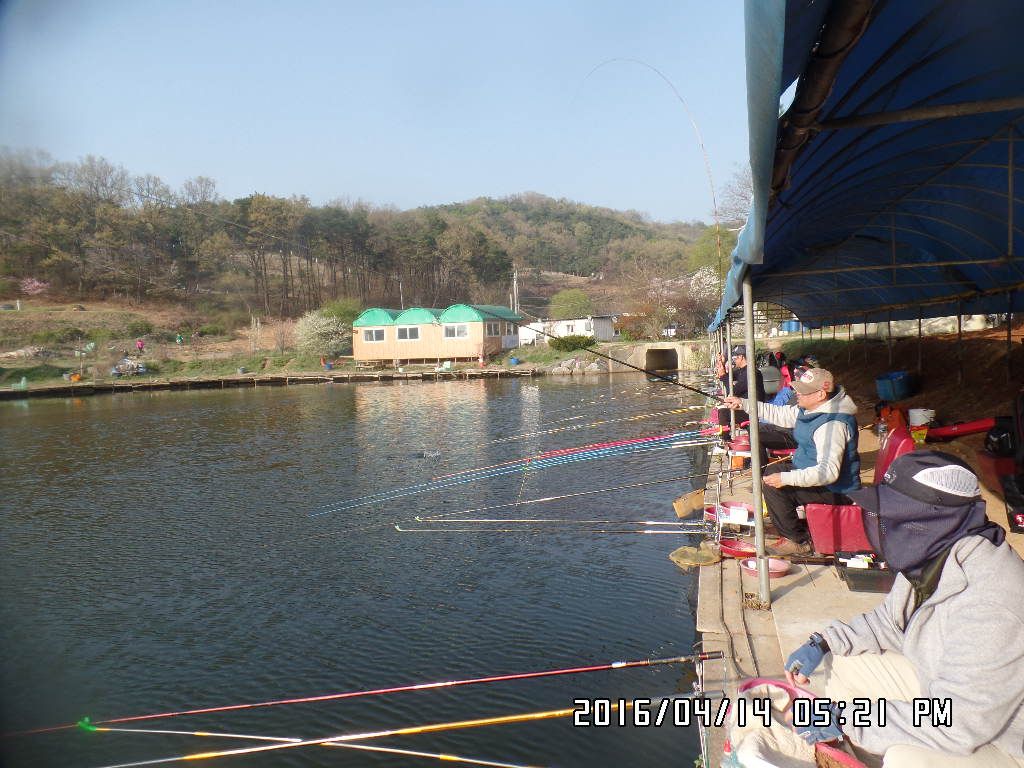 SAM_4819.JPG