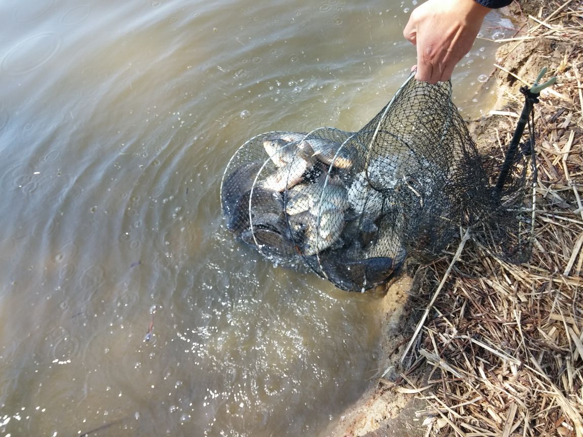 20160405_105632[1].jpg