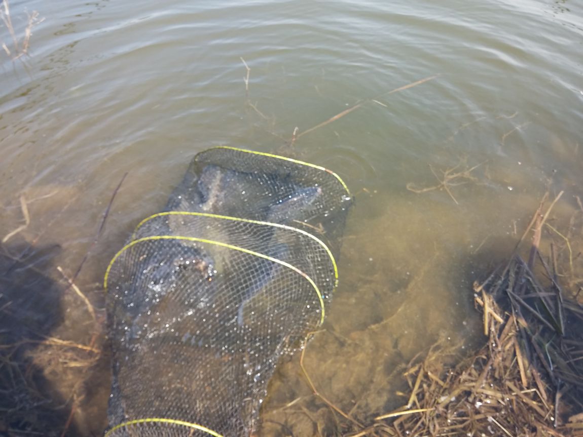 20160404_151612[1].jpg