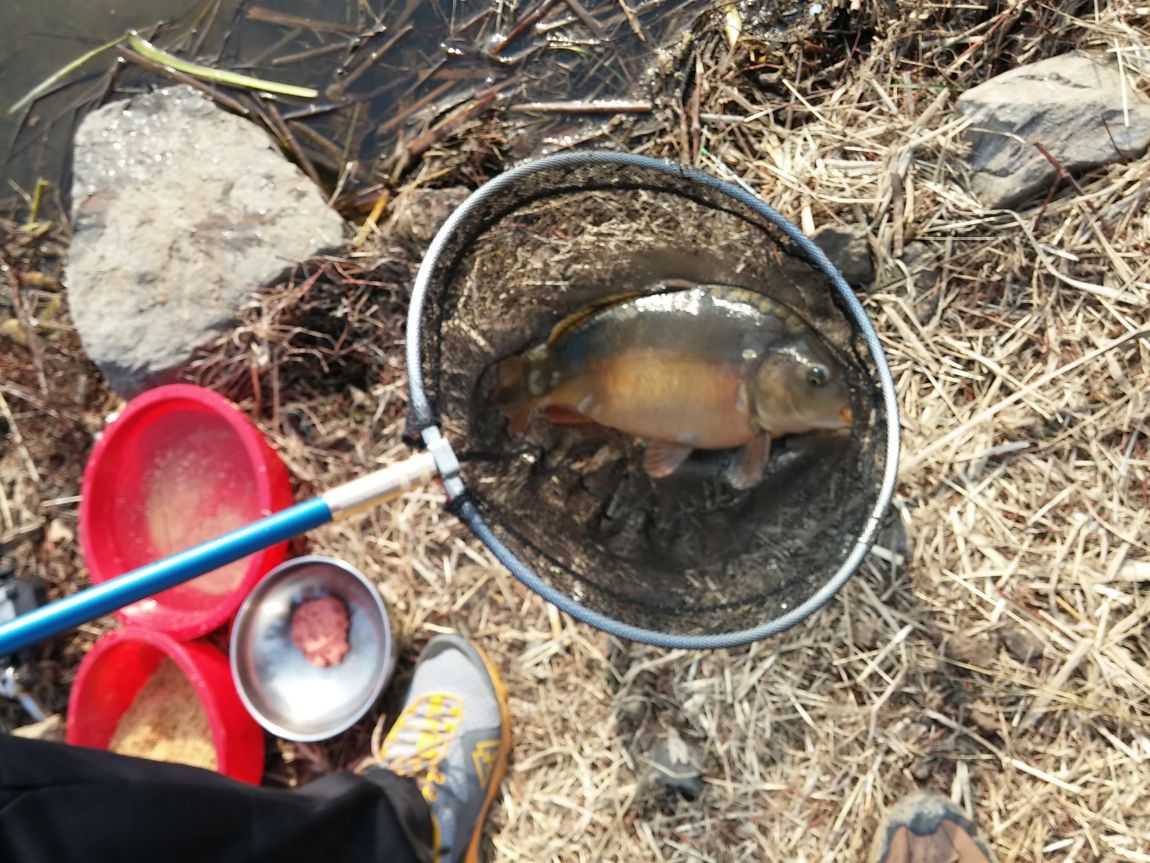 20160402_164252[1].jpg