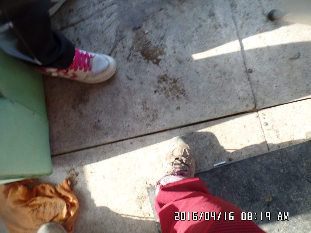 SAM_4904.JPG