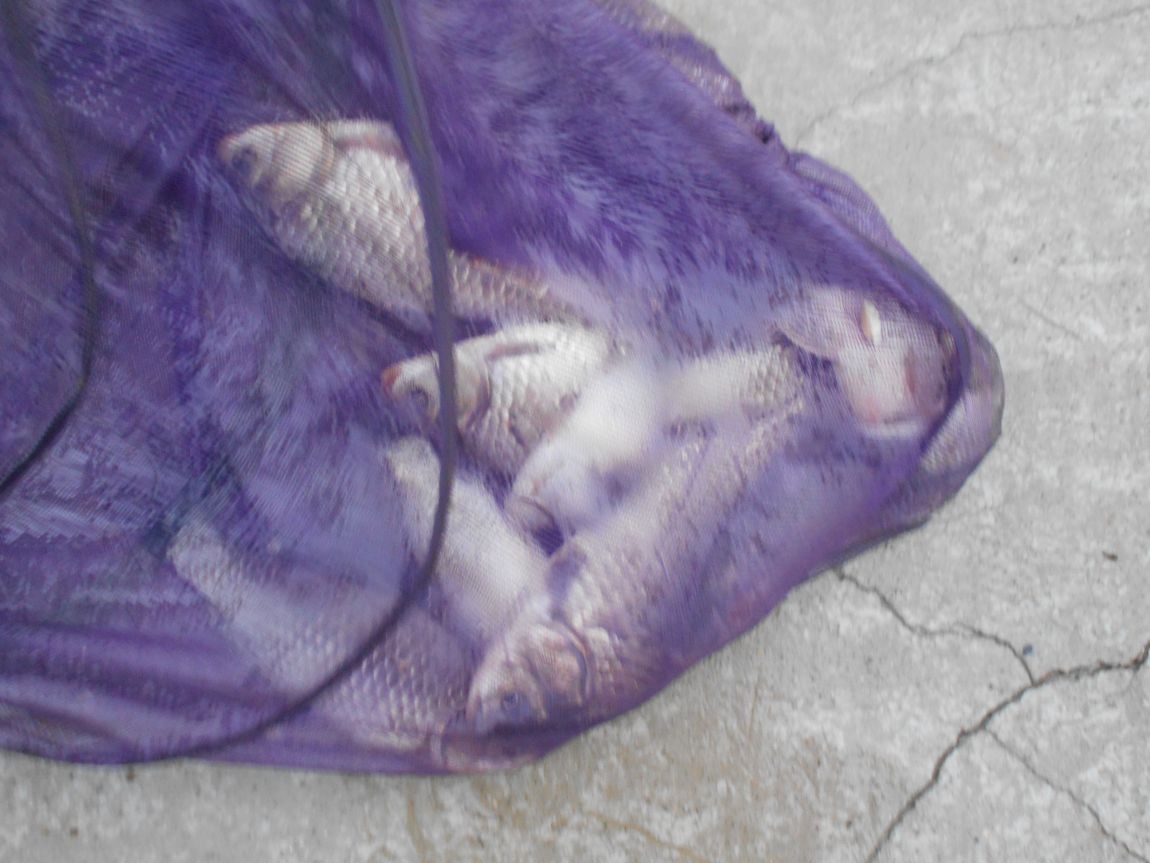 DSCN0175.JPG