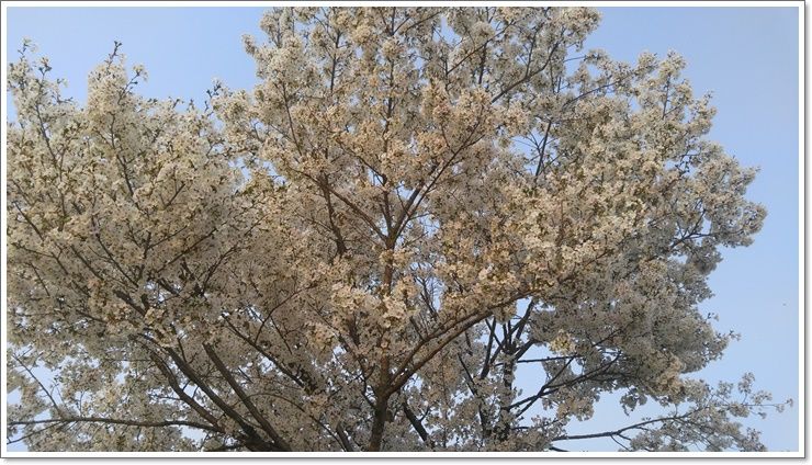 20160415_180142.jpg