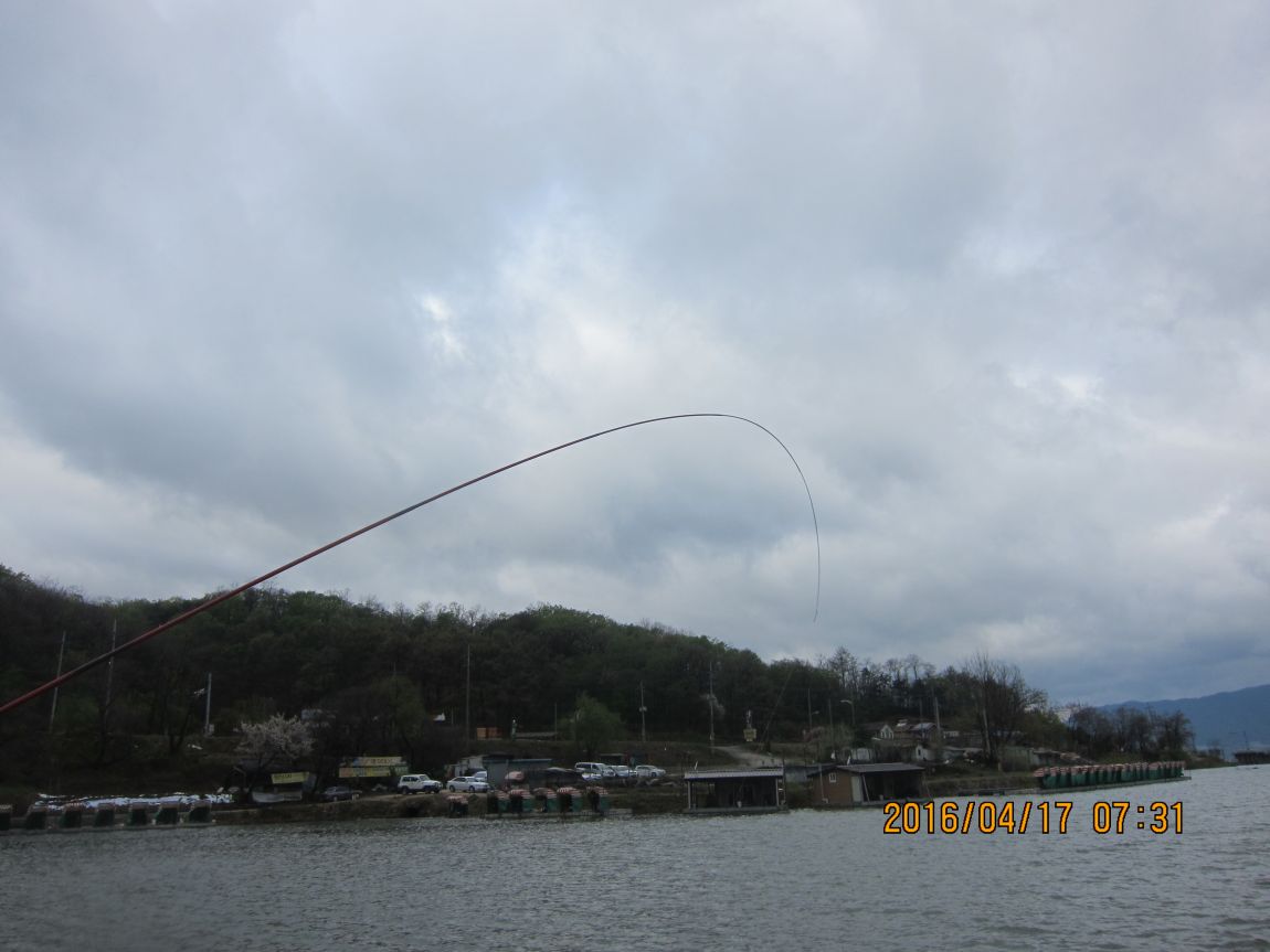 IMG_1555.JPG
