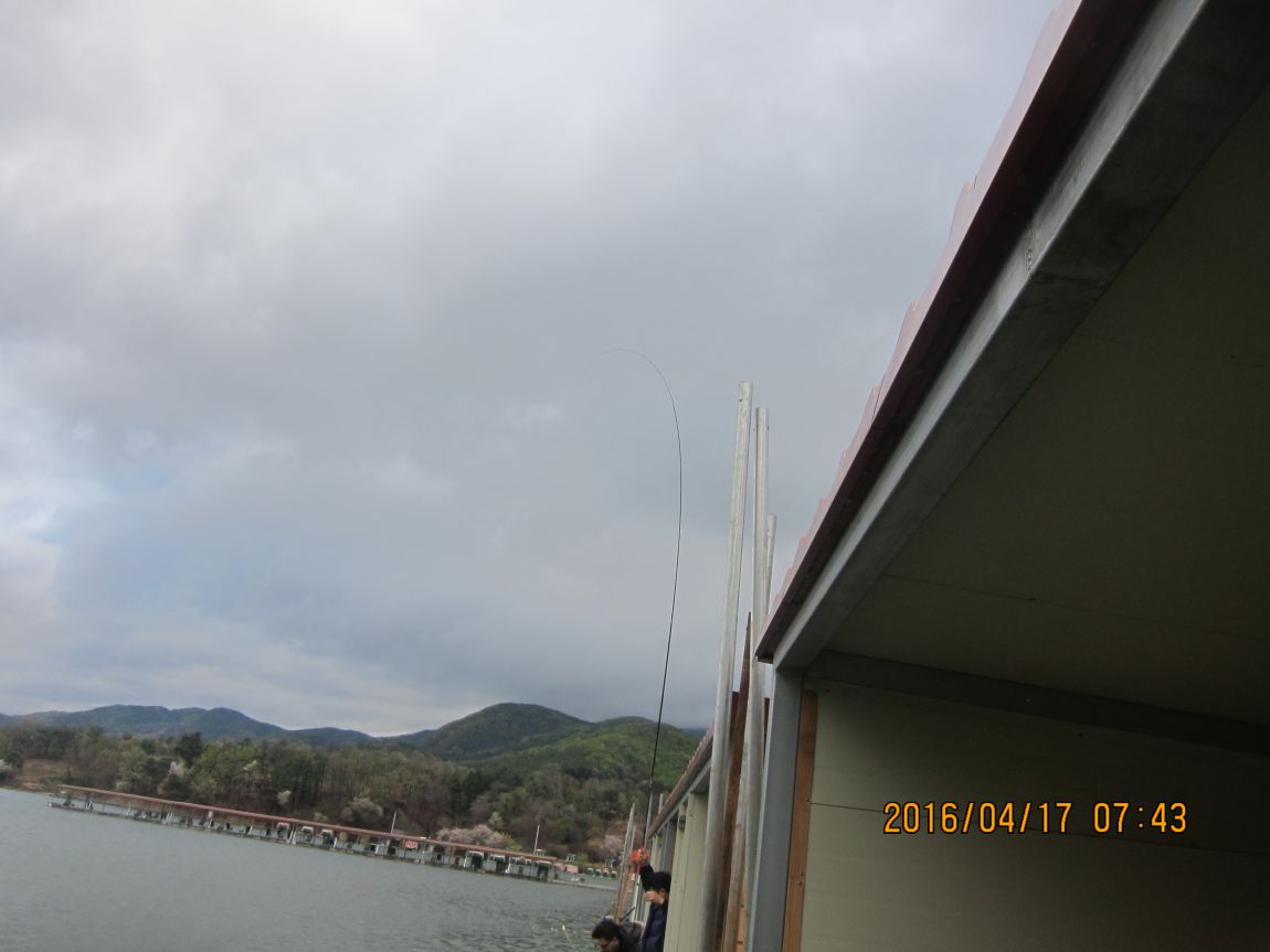 IMG_1564.JPG