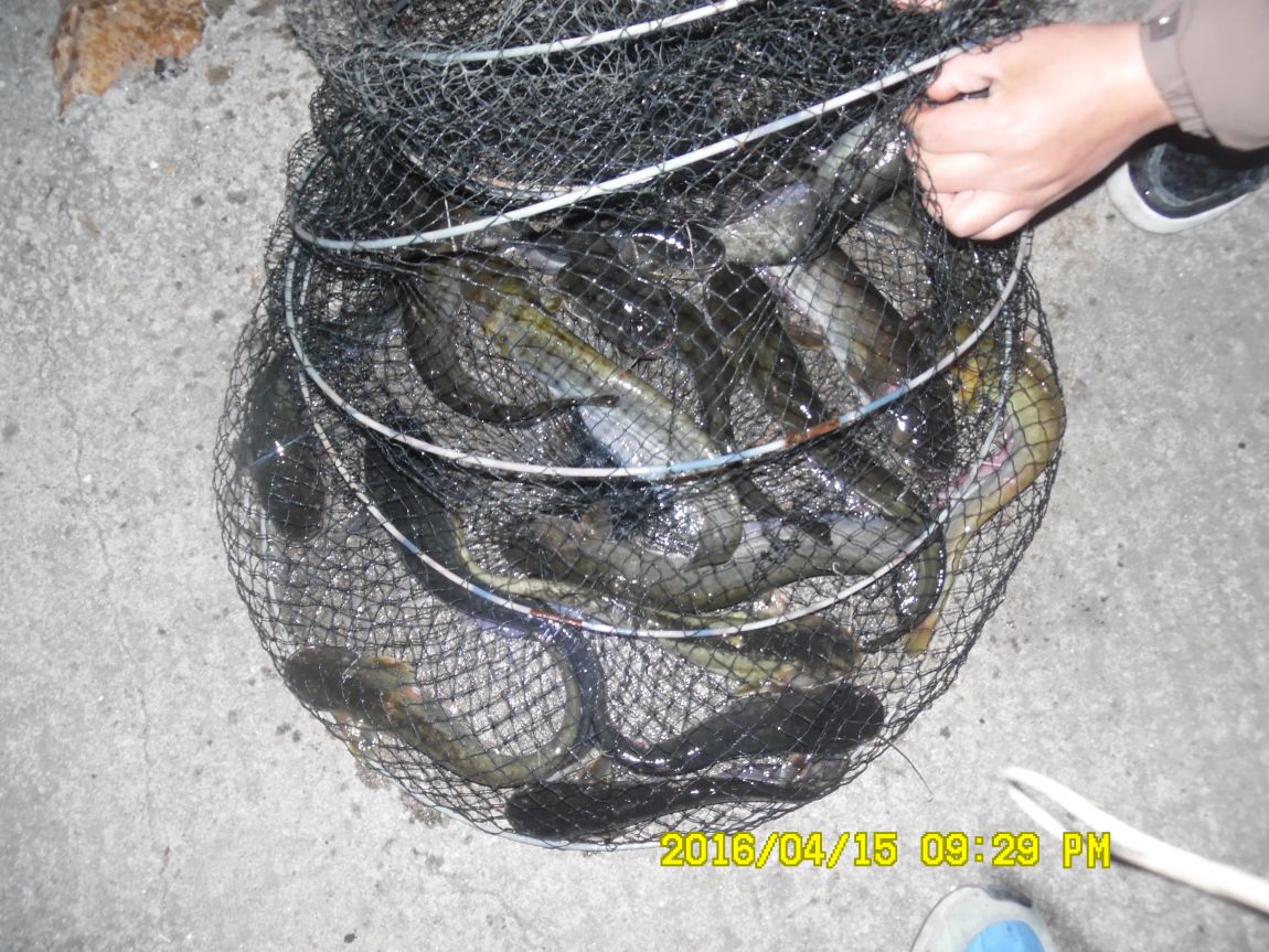 4��17�� 020.JPG