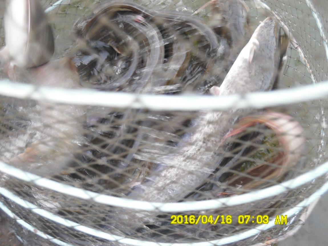 4��17�� 024.JPG