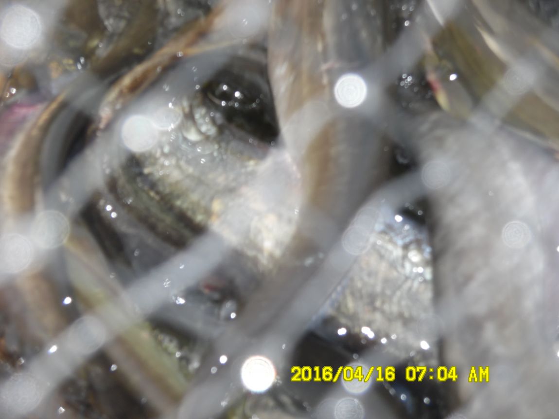 4��17�� 025.JPG