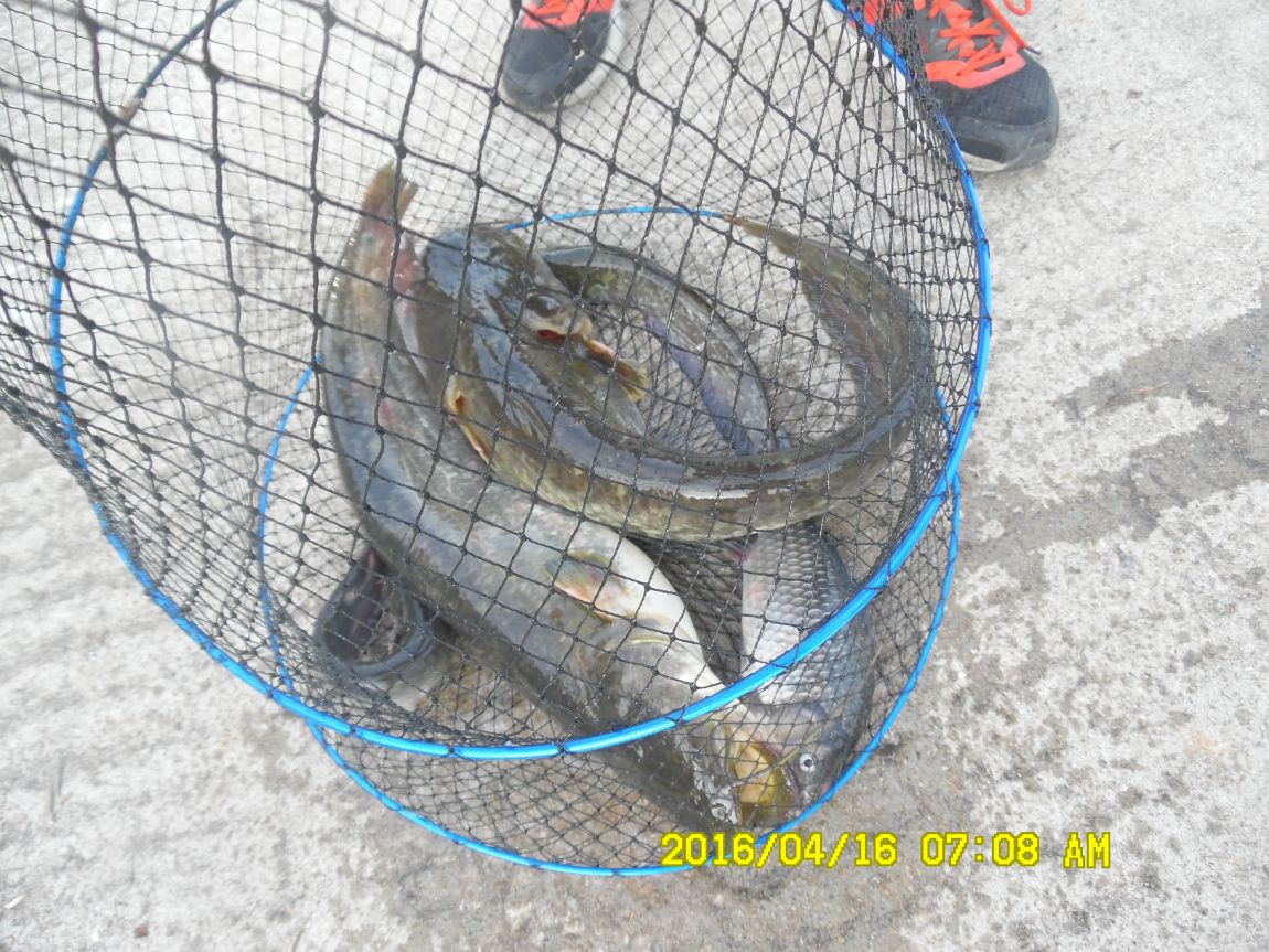 4��17�� 026.JPG