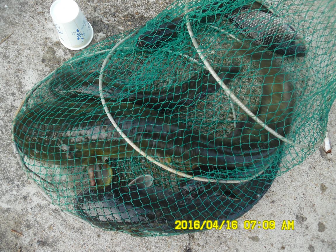 4��17�� 028.JPG