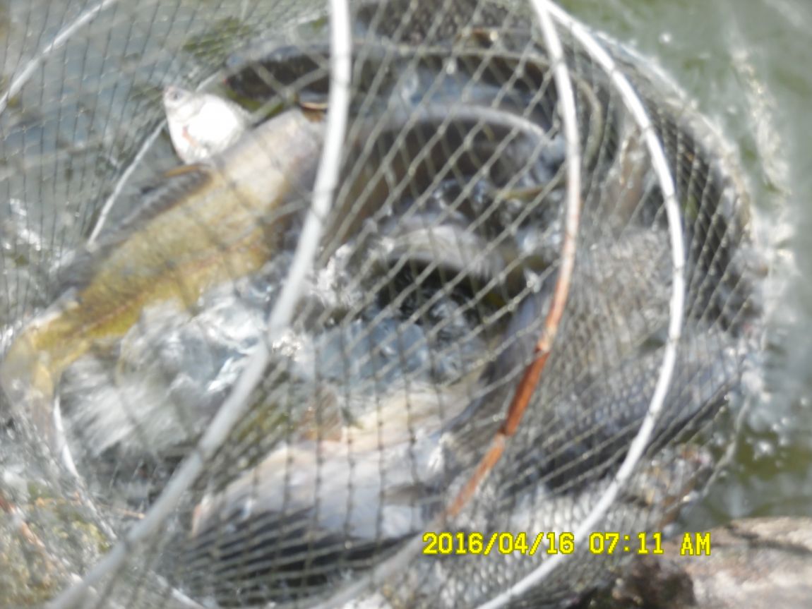 4��17�� 029.JPG