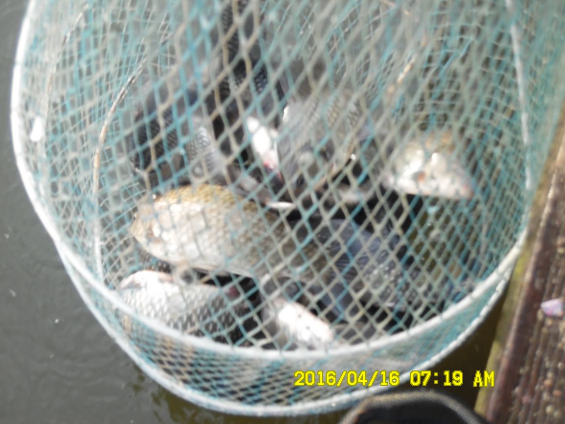 4��17�� 032.JPG