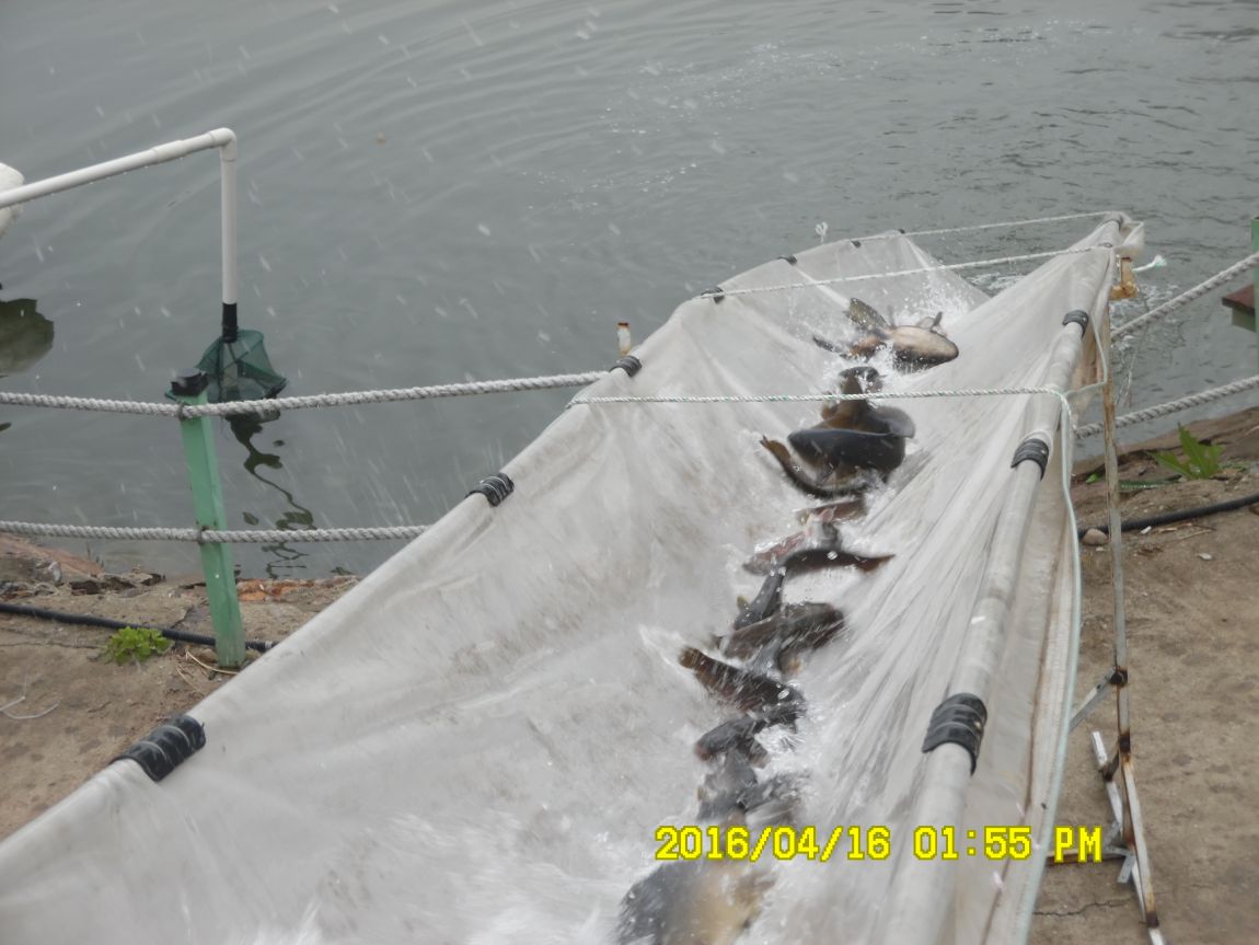 4��17�� 045.JPG