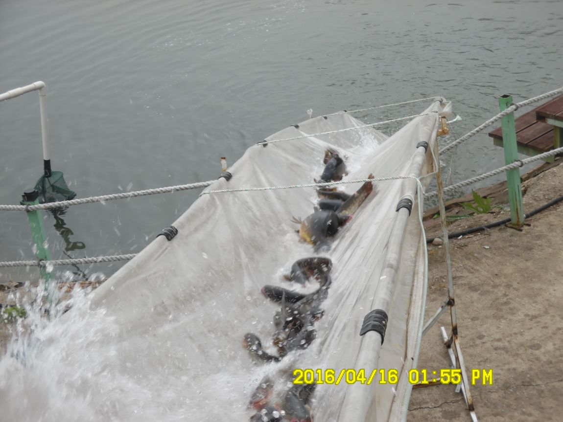 4��17�� 046.JPG