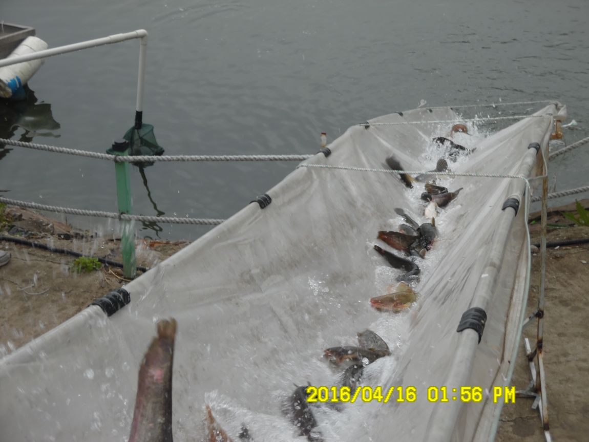 4��17�� 048.JPG