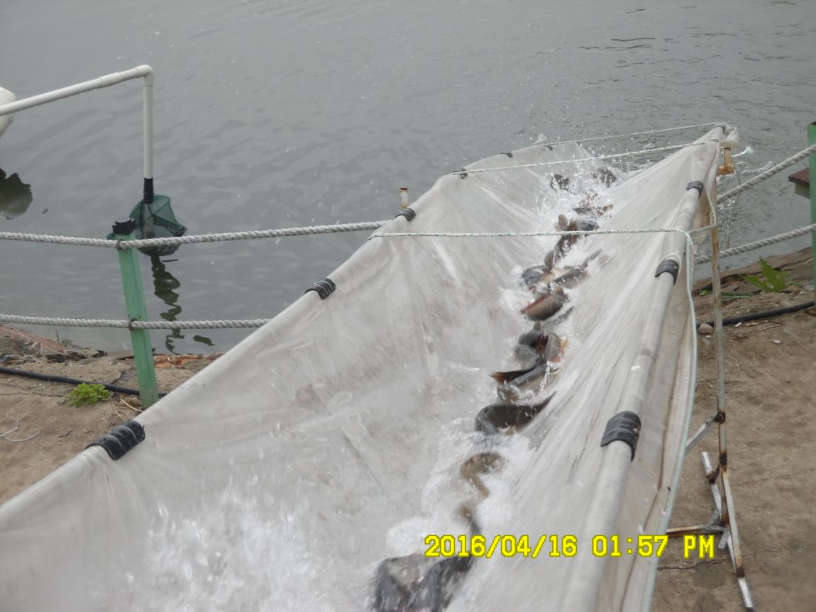 4��17�� 049.JPG