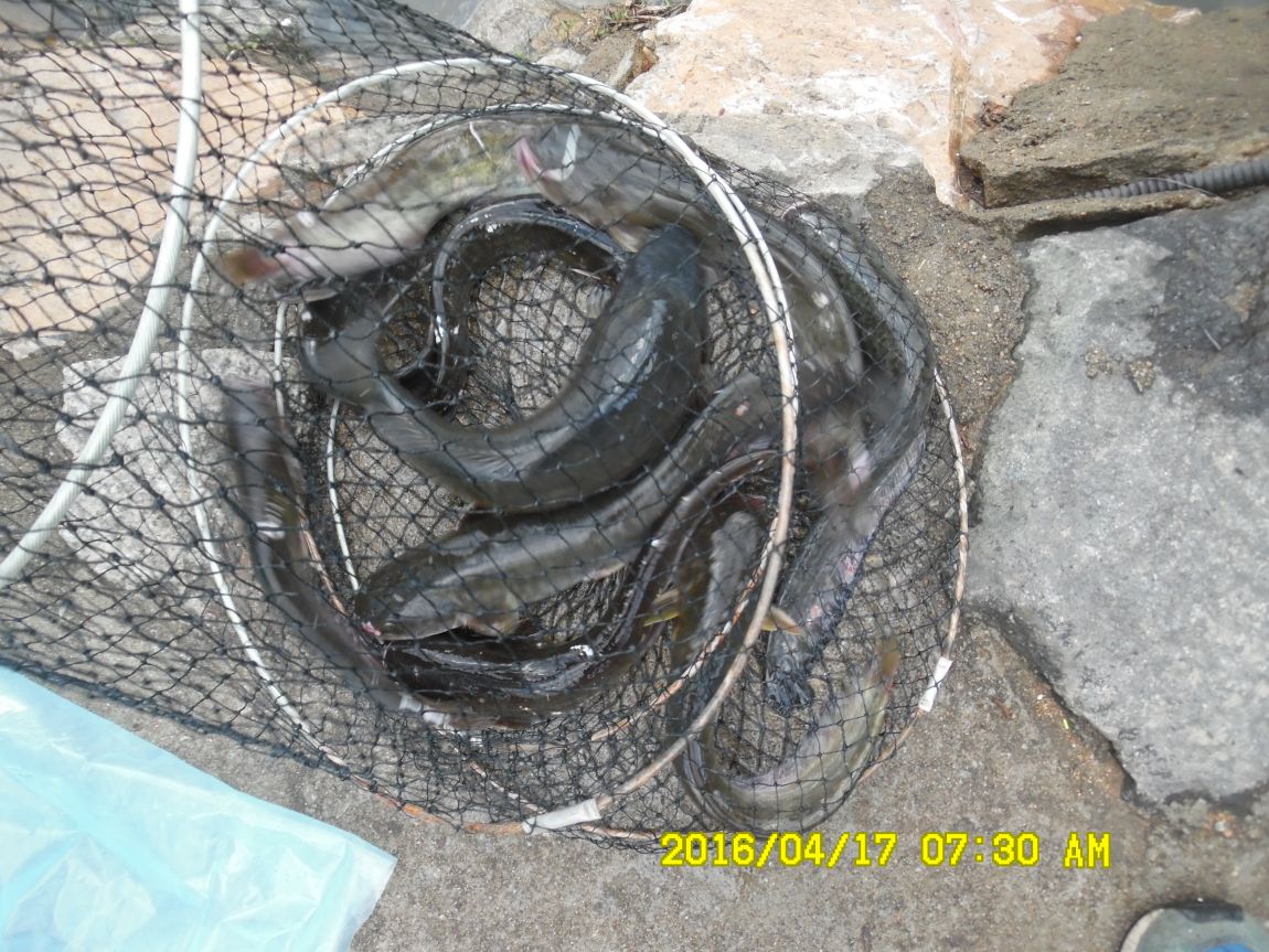 4��17�� 051.JPG