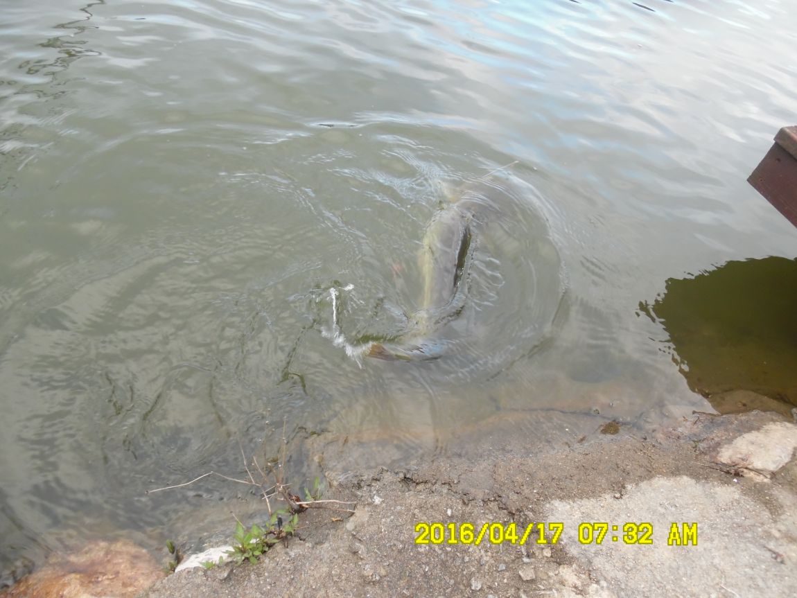 4��17�� 053.JPG