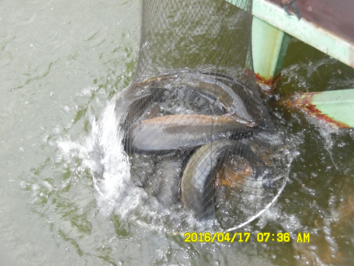 4��17�� 055.JPG