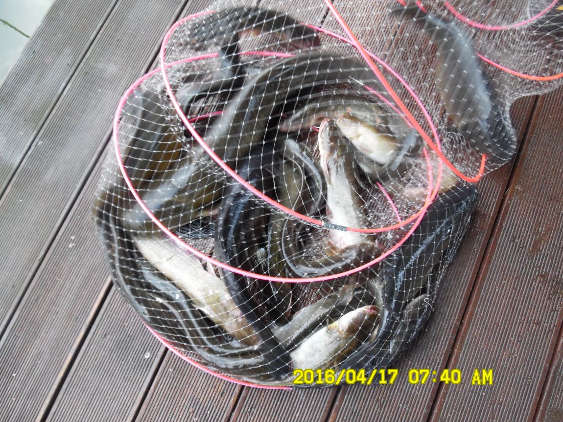 4��17�� 057.JPG