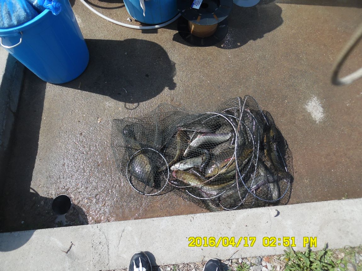 4��17�� 058.JPG