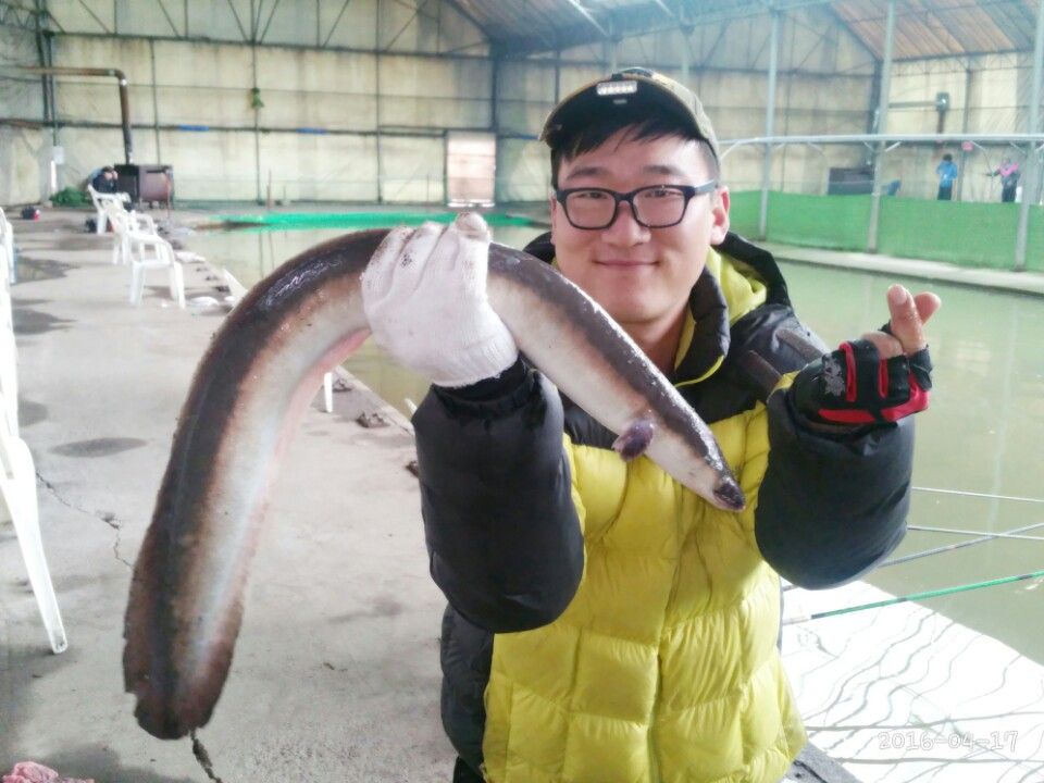 수목원장어낚시터 유료낚시터 > 수목원 장어낚시터 4월 16일~17일 조황 안내 입니다!(대물장어의 끝판...) : 낚시사랑