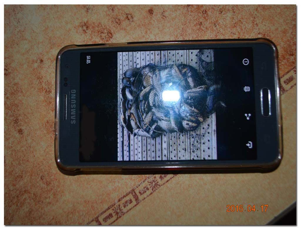 Untitled-1 copy 5.jpg