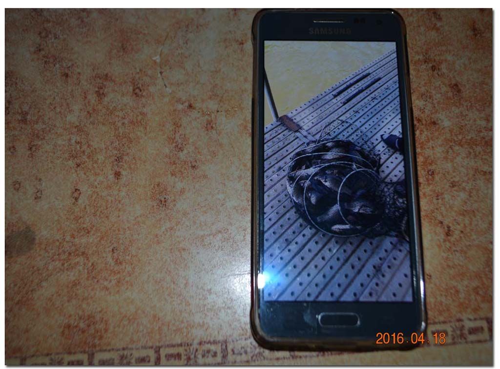 Untitled-1 copy.jpg